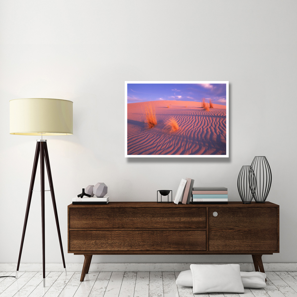 Gypsum dunes, Guadalupe Mountains National Park, Texas-Paper Art-42&quotx32"