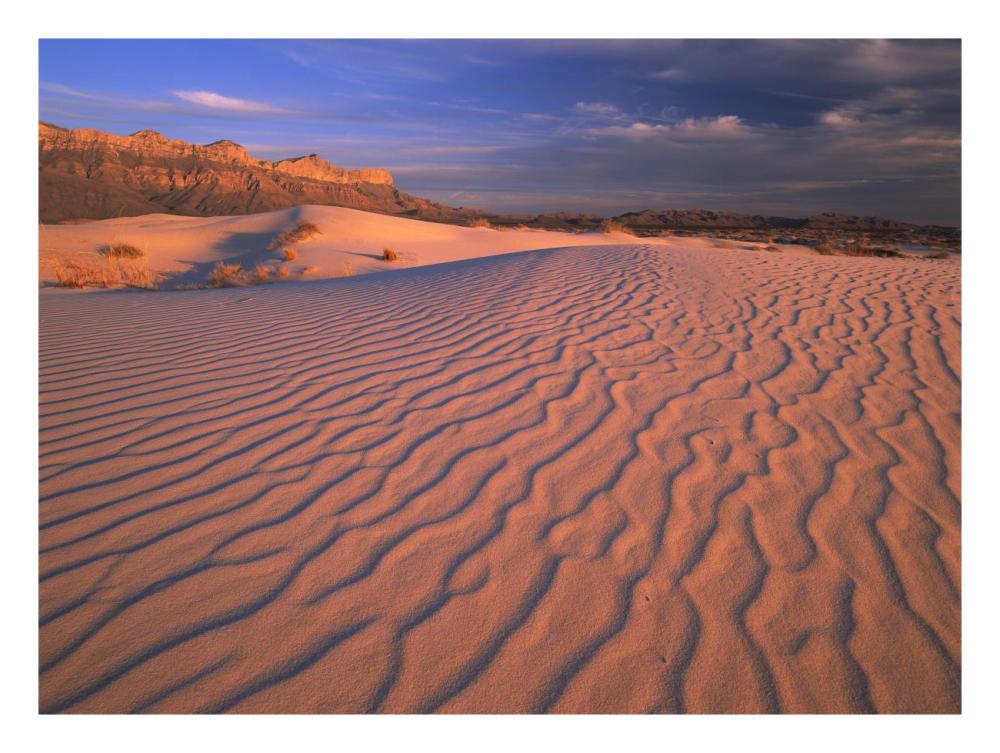 Gypsum dunes, Guadalupe Mountains National Park, Texas-Paper Art-26"x20"