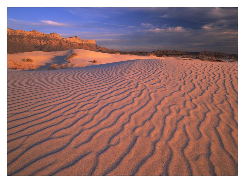 Gypsum dunes, Guadalupe Mountains National Park, Texas-Paper Art-34"x26"