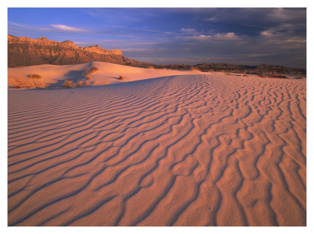 Gypsum dunes, Guadalupe Mountains National Park, Texas-Paper Art-42"x32"