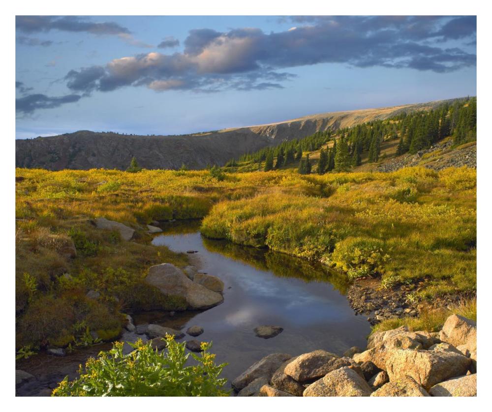 Alpine stream, Rollins Pass near Winter Park, Colorado-Paper Art-32"x26.9"