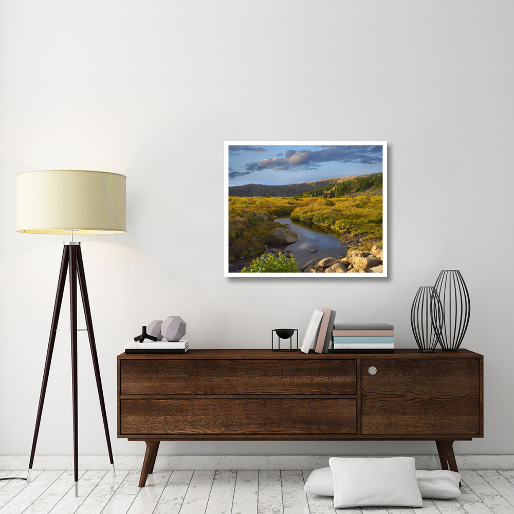 Alpine stream, Rollins Pass near Winter Park, Colorado-Paper Art-38&quotx31.88"