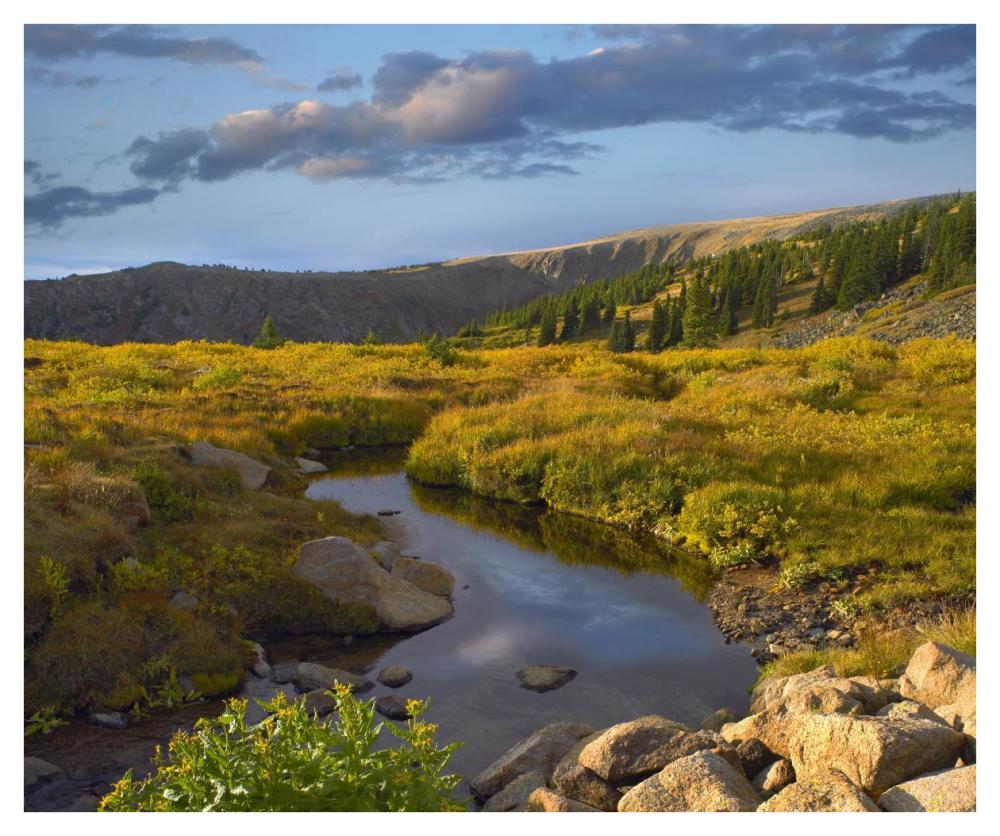 Alpine stream, Rollins Pass near Winter Park, Colorado-Paper Art-42"x35.2"