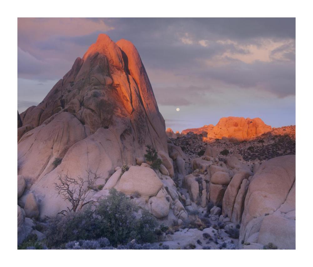 Moon over rocks, Joshua Tree National Park, California-Paper Art-18"x15.28"