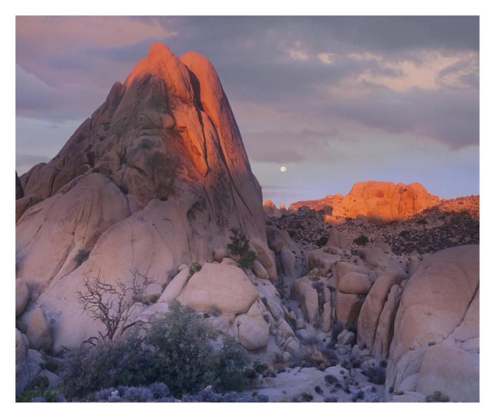 Moon over rocks, Joshua Tree National Park, California-Paper Art-32"x26.9"