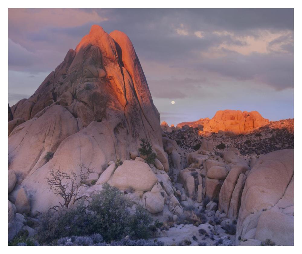 Moon over rocks, Joshua Tree National Park, California-Paper Art-38"x31.88"