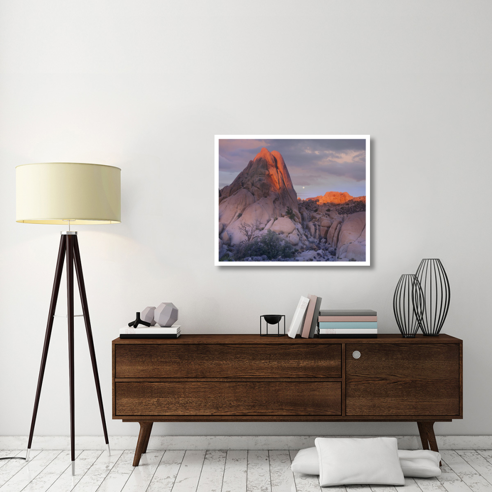 Moon over rocks, Joshua Tree National Park, California-Paper Art-38&quotx31.88"