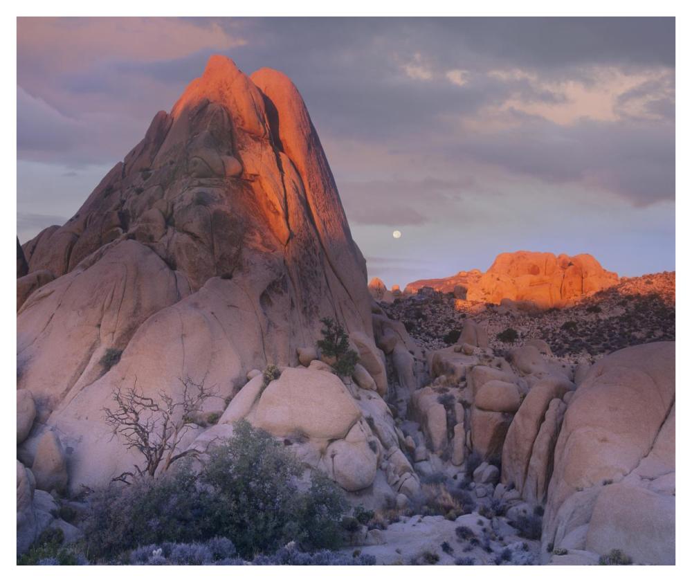Moon over rocks, Joshua Tree National Park, California-Paper Art-42"x35.2"