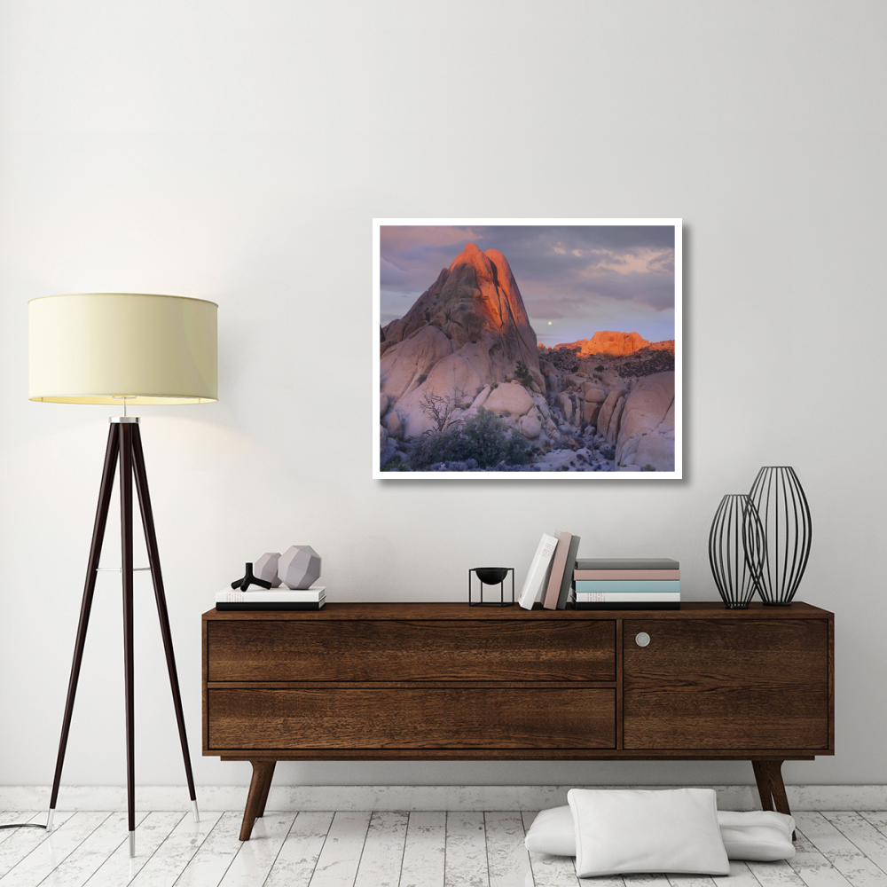 Moon over rocks, Joshua Tree National Park, California-Paper Art-42&quotx35.2"