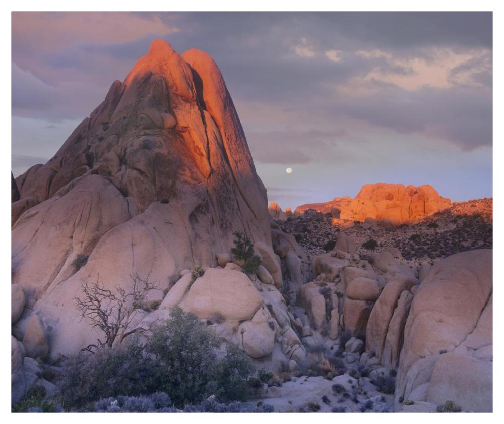 Moon over rocks, Joshua Tree National Park, California-Paper Art-46"x38.52"