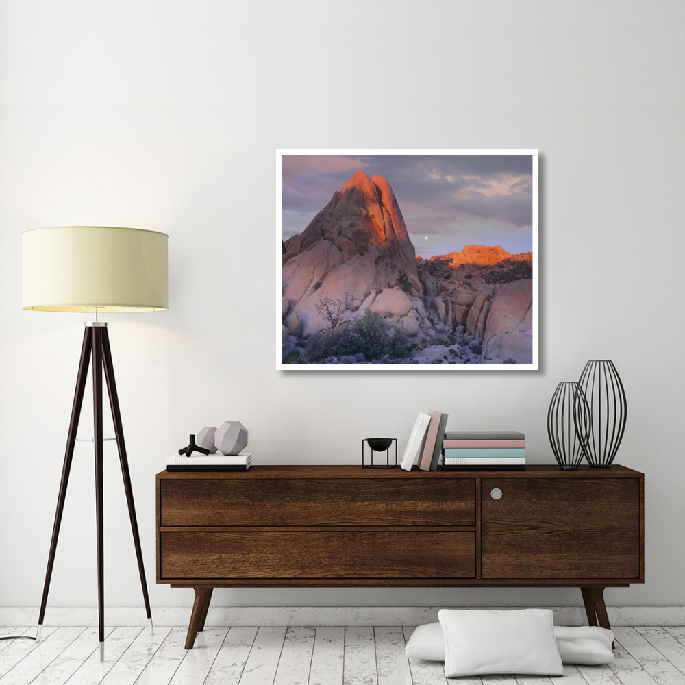 Moon over rocks, Joshua Tree National Park, California-Paper Art-46&quotx38.52"