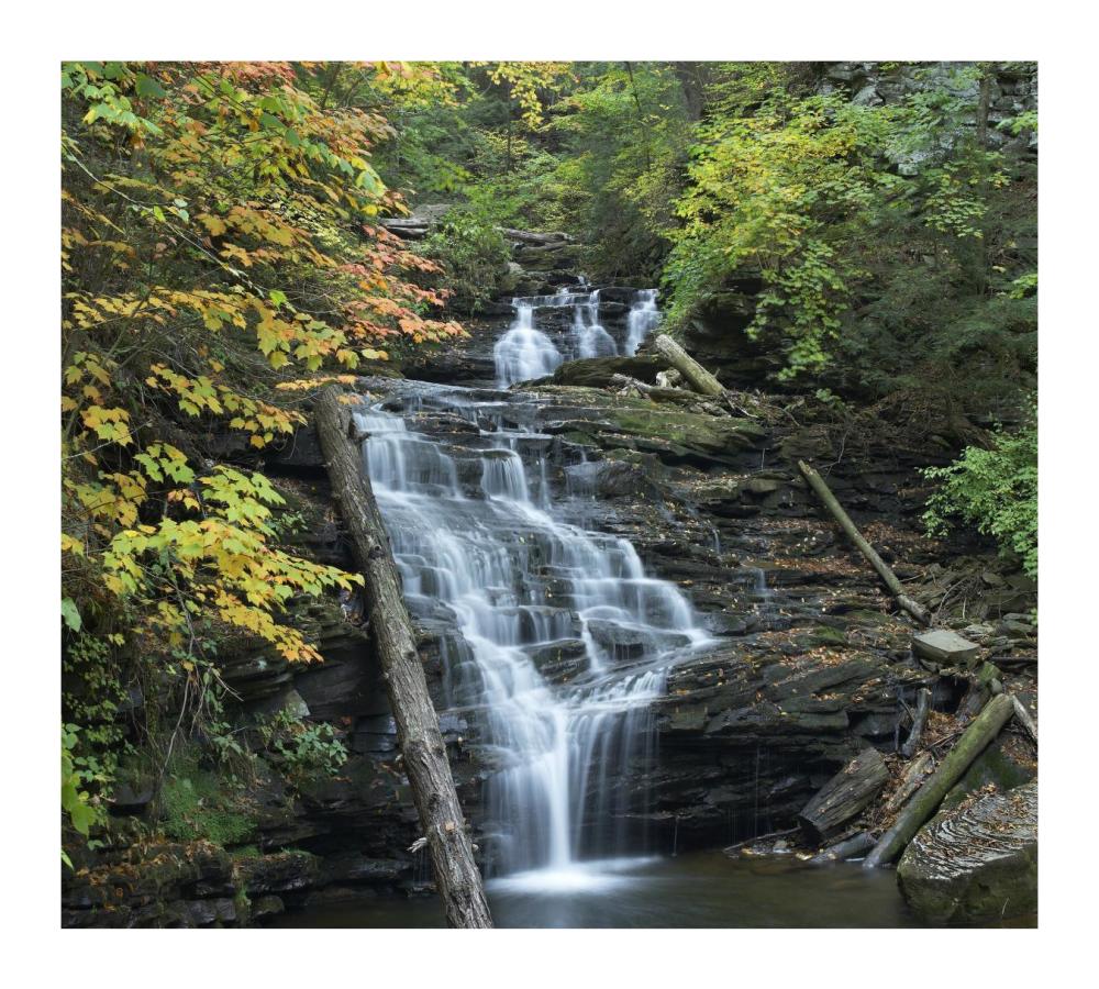 Delaware Falls, Ricketts Glen State Park, Pennsylvania-Paper Art-18"x16.24"