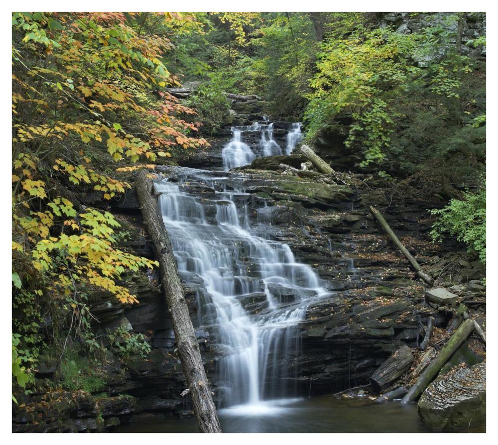 Delaware Falls, Ricketts Glen State Park, Pennsylvania-Paper Art-42"x37.6"