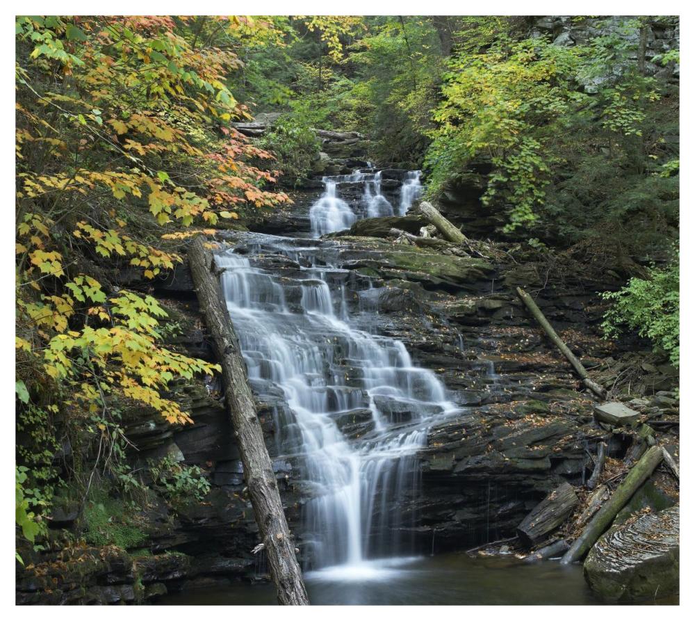 Delaware Falls, Ricketts Glen State Park, Pennsylvania-Paper Art-46"x41.16"