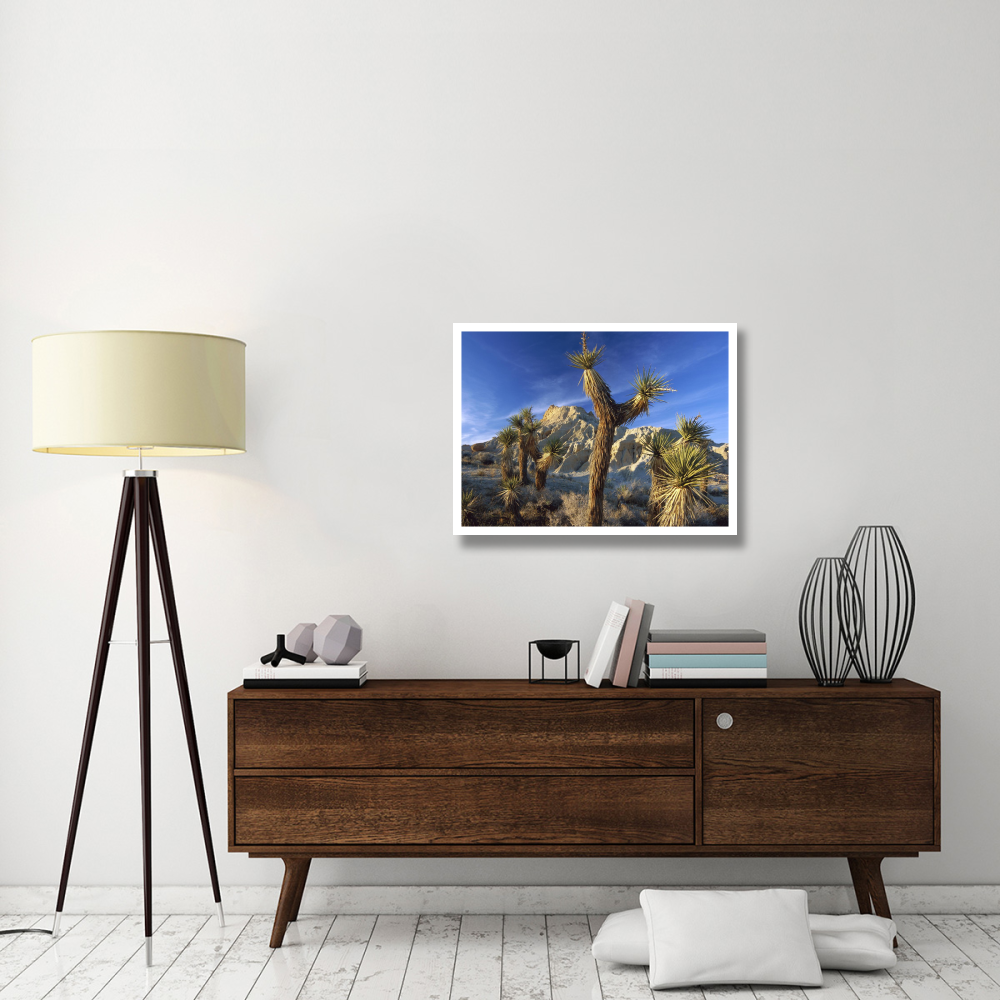 Joshua Trees in Red Rock Canyon State Park, California-Paper Art-34&quotx26"
