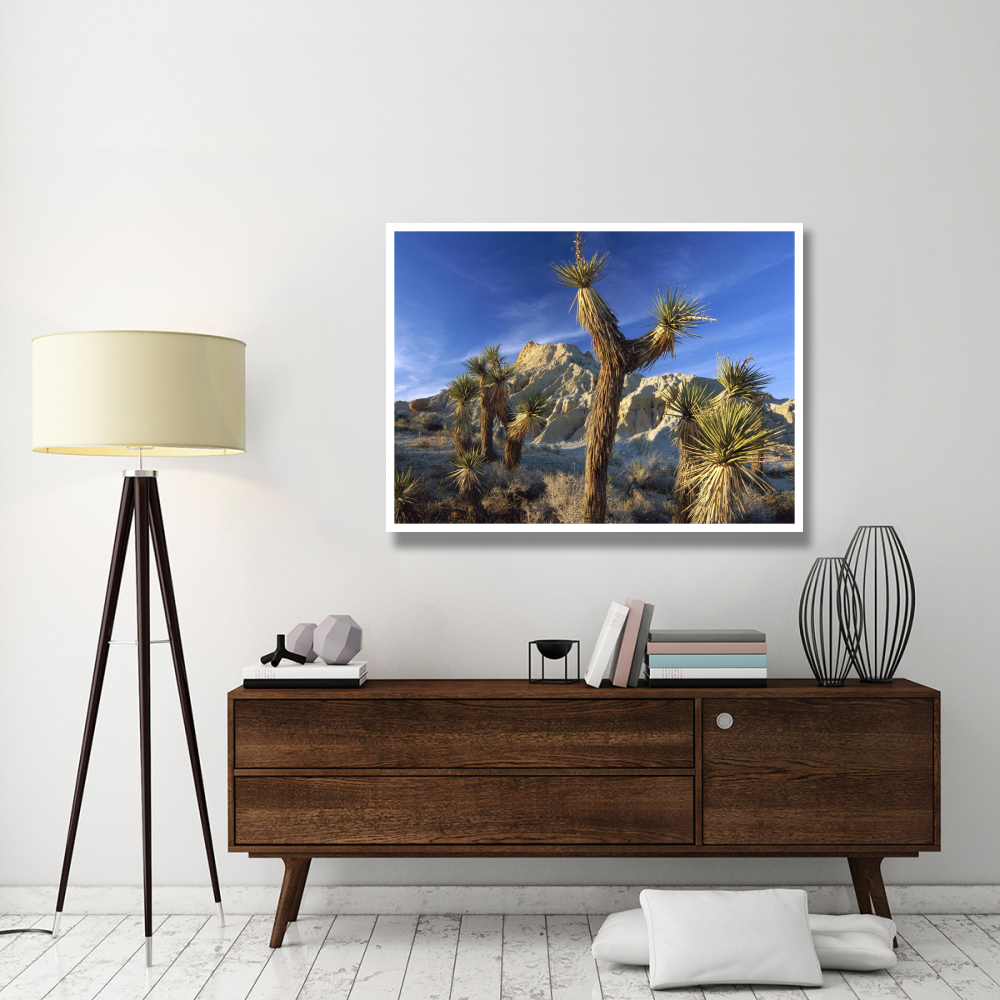 Joshua Trees in Red Rock Canyon State Park, California-Paper Art-50&quotx38"