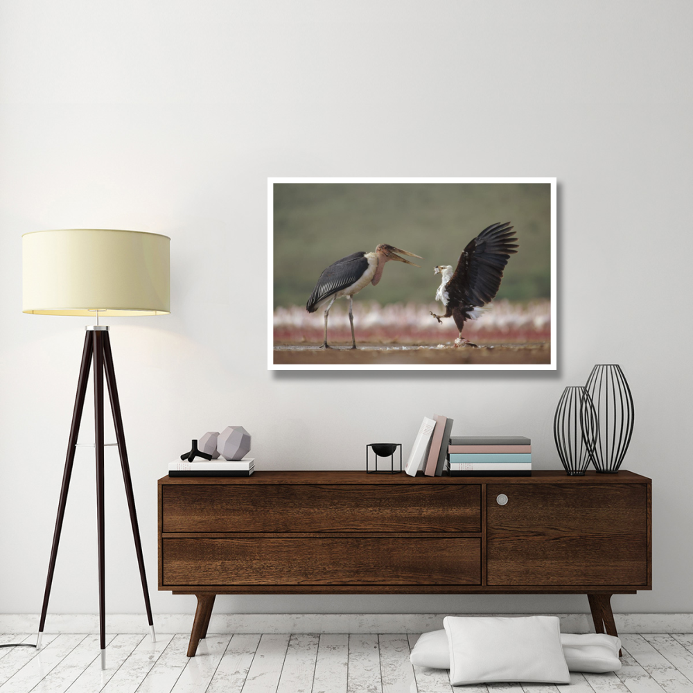 African Fish Eagle quarreling with Marabou Stork Kenya-Paper Art-50&quotx34"