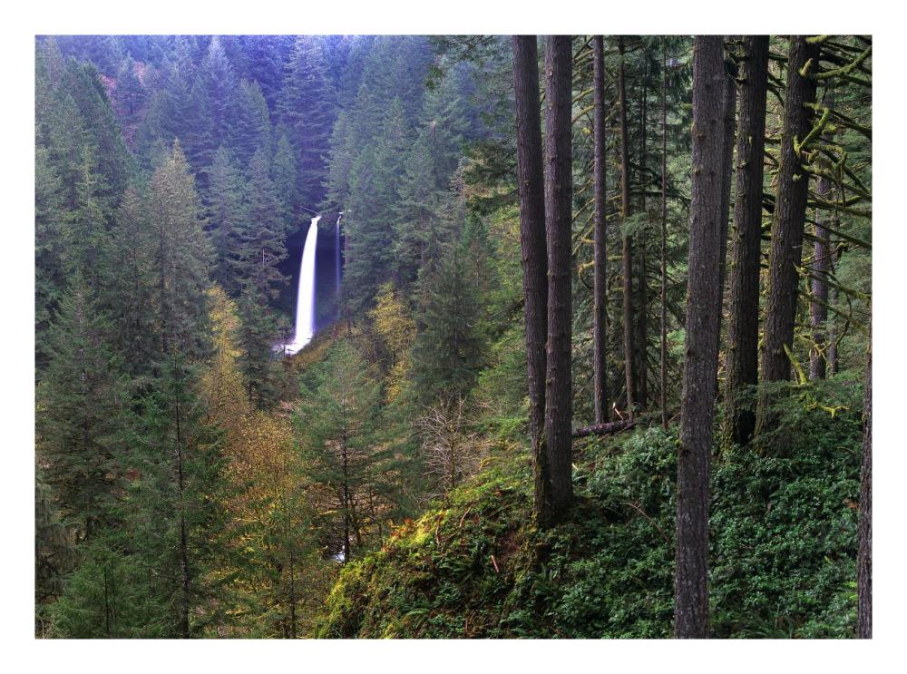 North Falls, Silver Falls State Park near Salem, Oregon-Paper Art-26"x20"