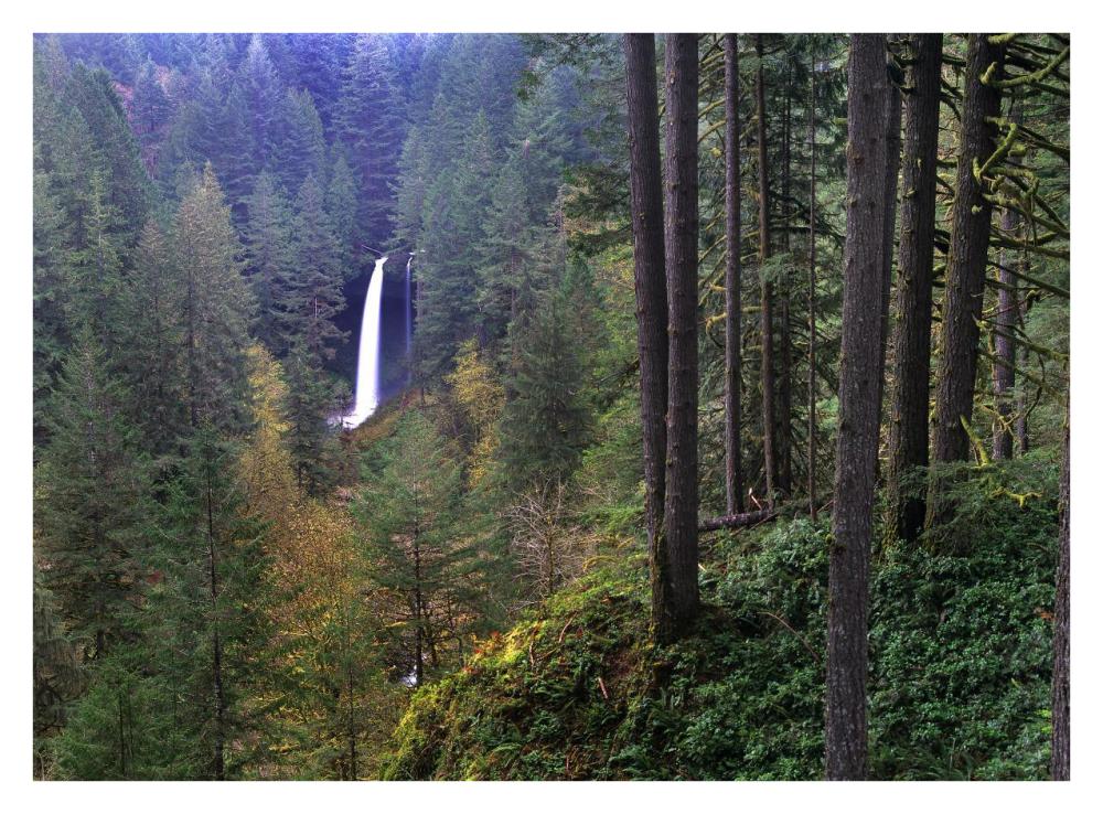 North Falls, Silver Falls State Park near Salem, Oregon-Paper Art-34"x26"