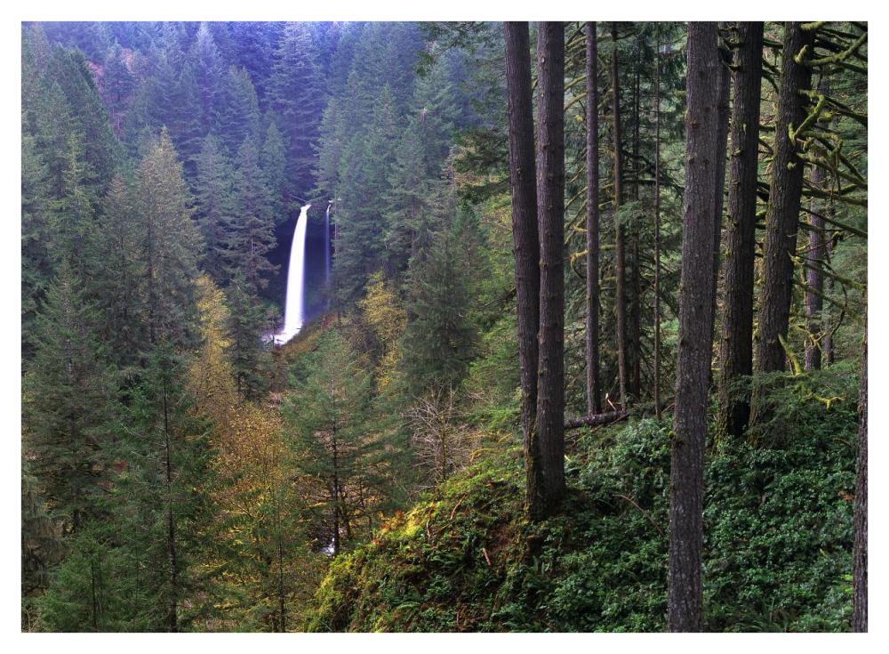 North Falls, Silver Falls State Park near Salem, Oregon-Paper Art-42"x32"
