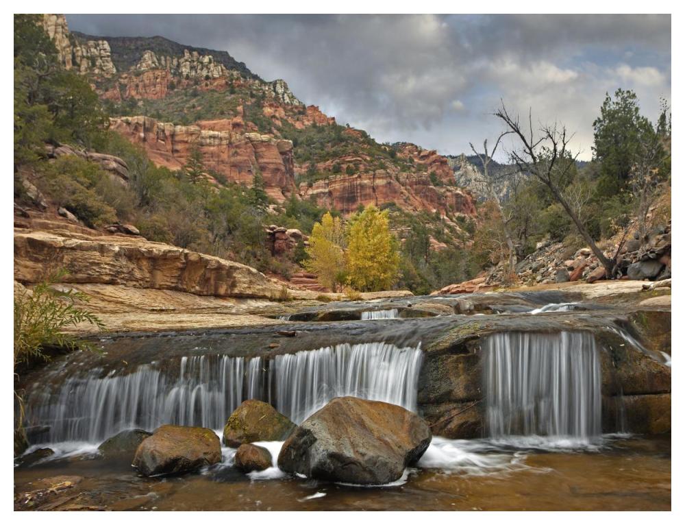 Oak Creek in Slide Rock State Park near Sedona, Arizona-Paper Art-50"x38"