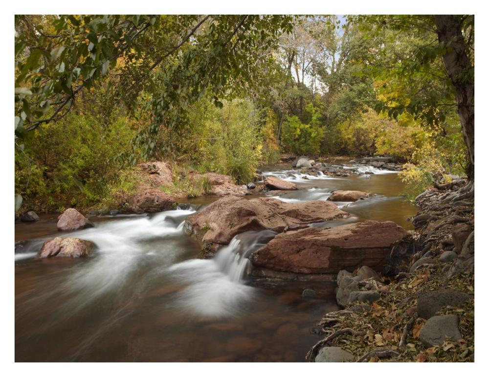 Oak Creek in Slide Rock State Park near Sedona, Arizona-Paper Art-34"x26"