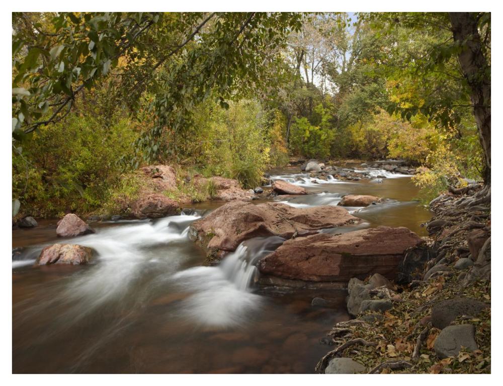 Oak Creek in Slide Rock State Park near Sedona, Arizona-Paper Art-42"x32"