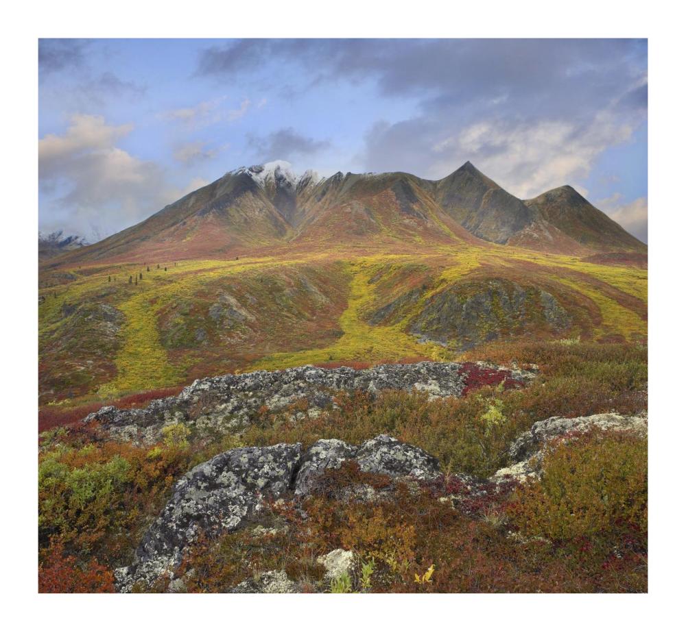 Cloudy Range, Tombstone Territorial Park, Yukon, Canada-Paper Art-18"x16.56"