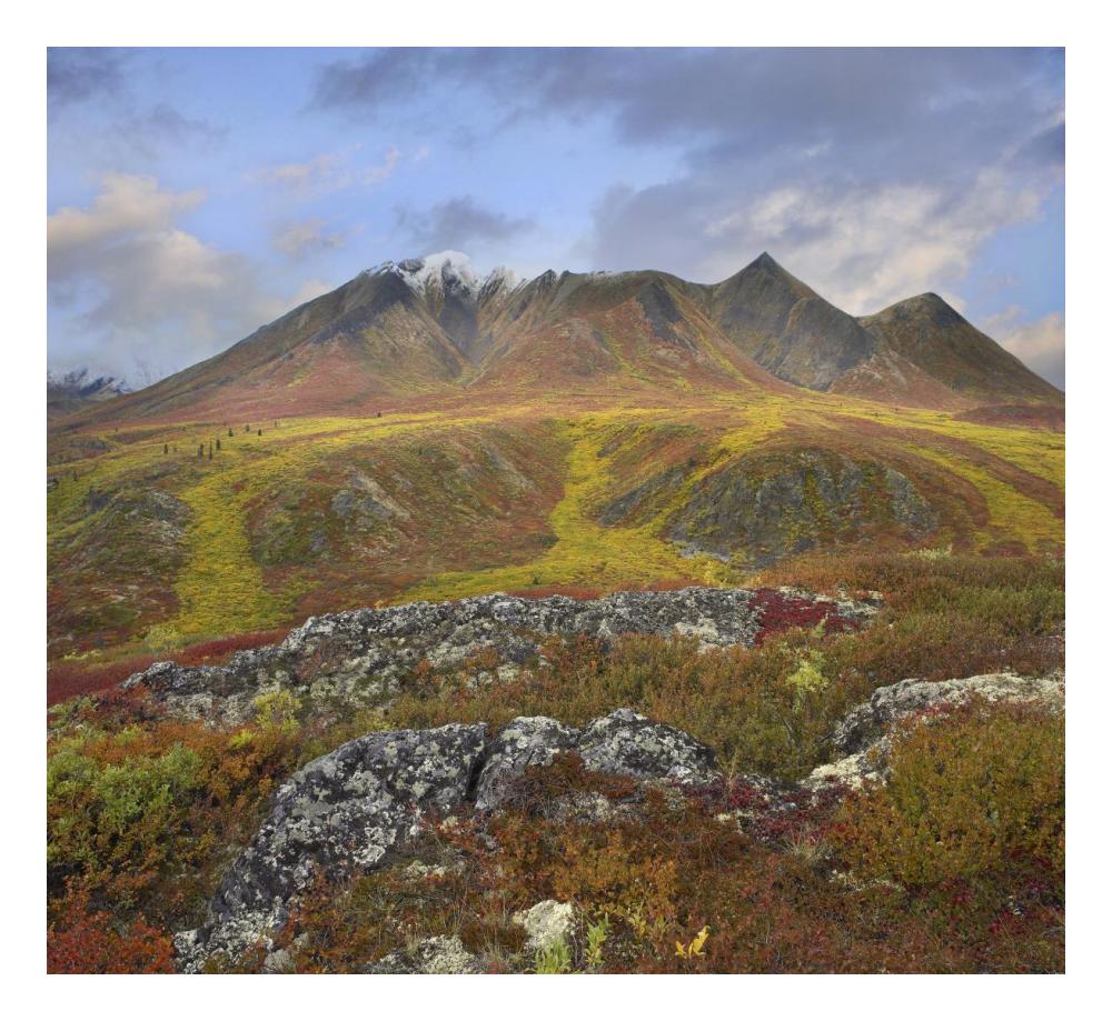 Cloudy Range, Tombstone Territorial Park, Yukon, Canada-Paper Art-24"x22.02"