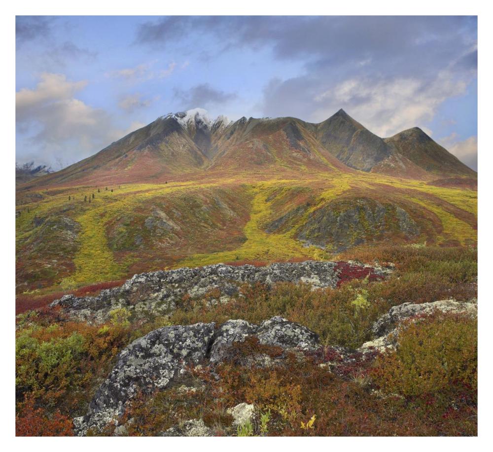 Cloudy Range, Tombstone Territorial Park, Yukon, Canada-Paper Art-32"x29.3"