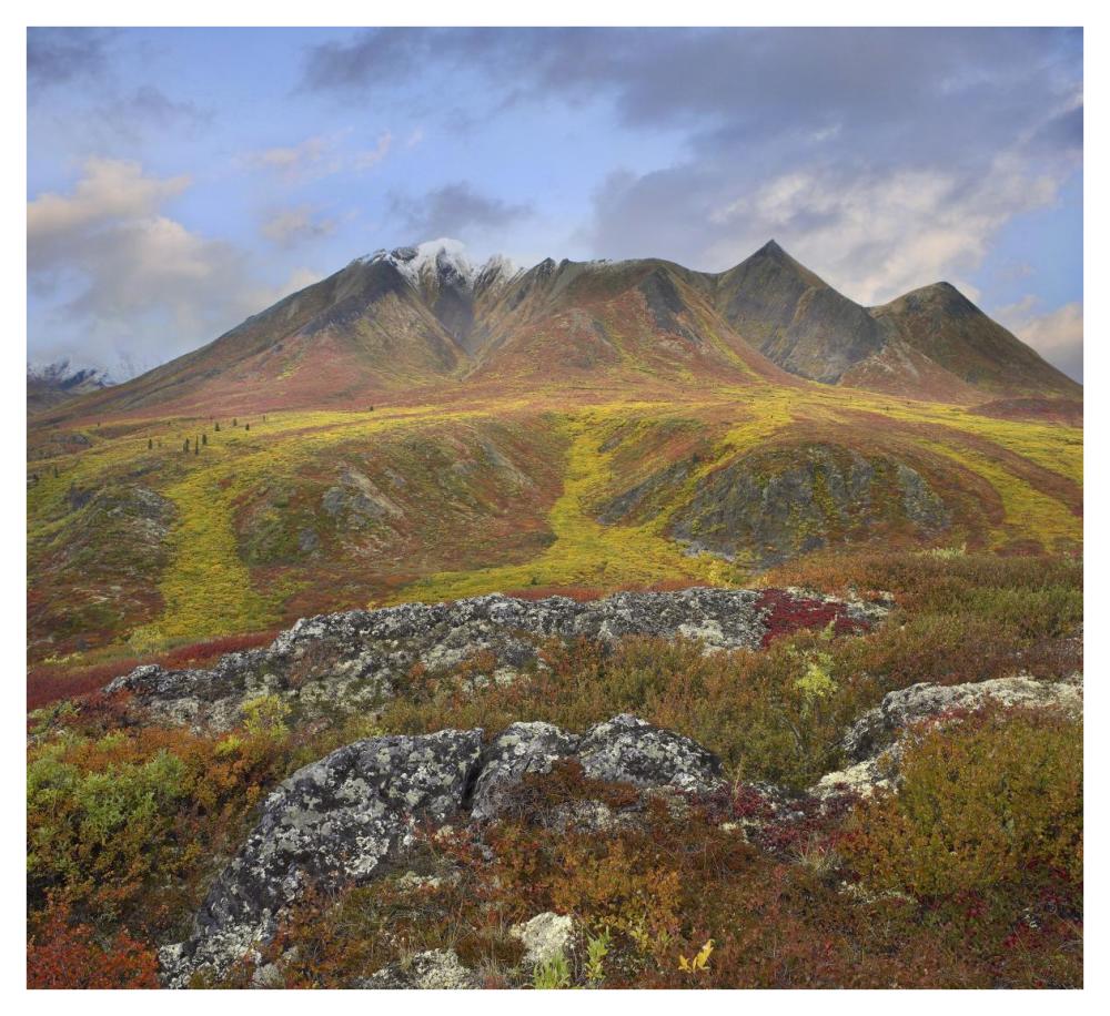 Cloudy Range, Tombstone Territorial Park, Yukon, Canada-Paper Art-42"x38.4"