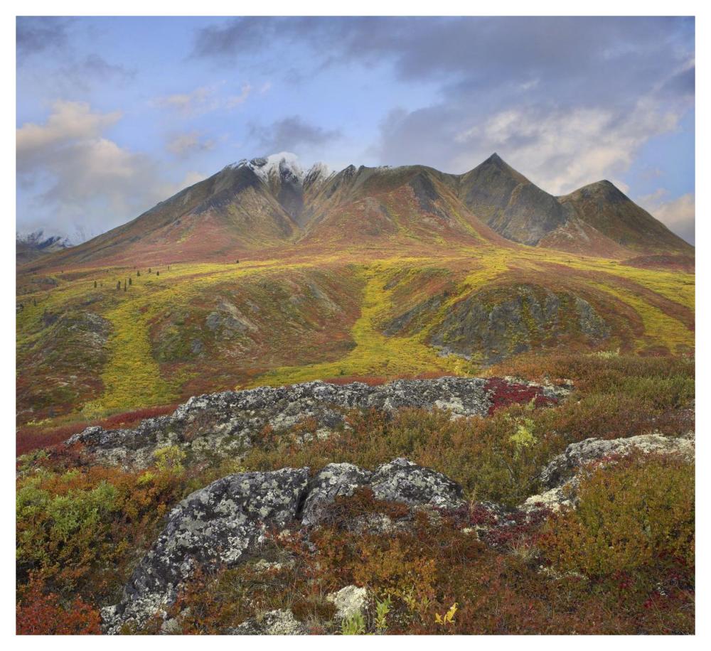 Cloudy Range, Tombstone Territorial Park, Yukon, Canada-Paper Art-46"x42.04"