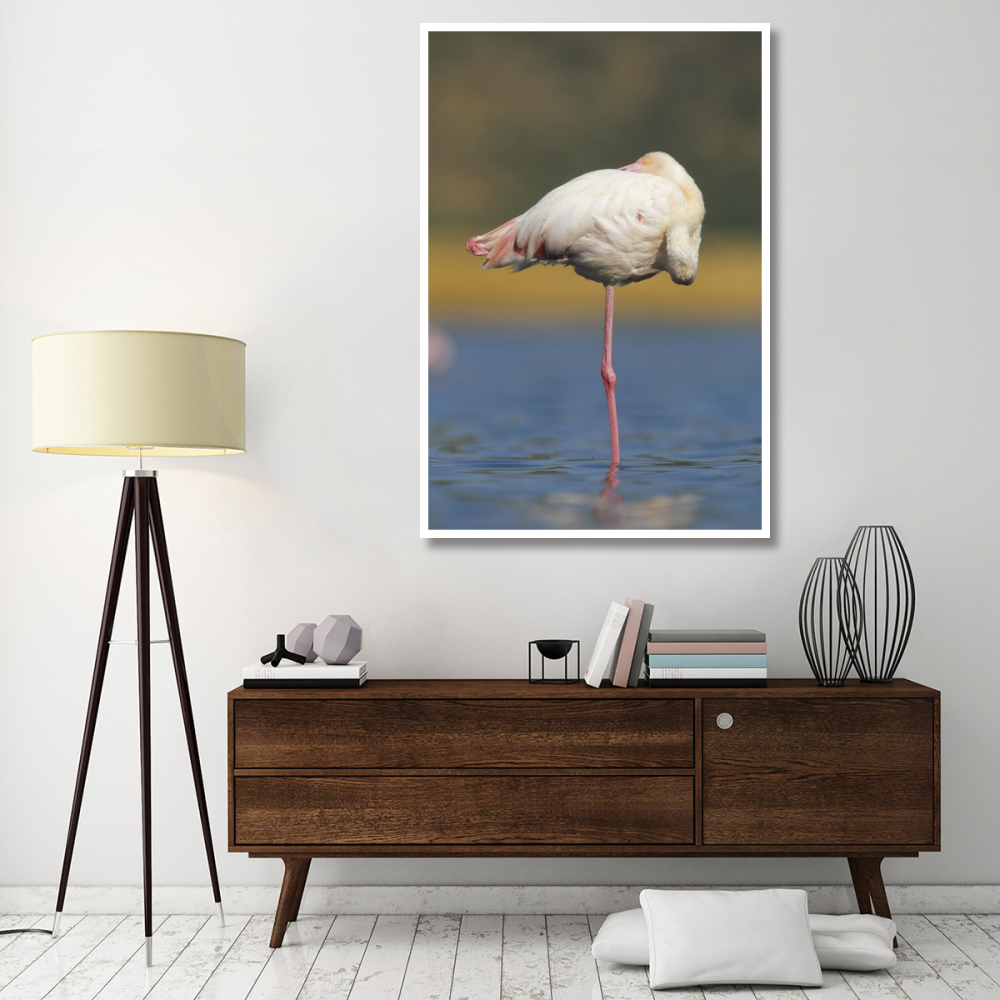 Greater Flamingo standing on one leg as it rests, Kenya-Paper Art-42&quotx62"