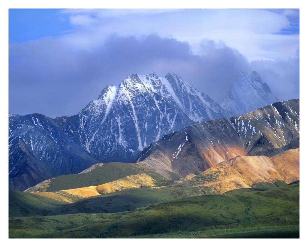 Alaska Range and foothills, Denali National Park, Alaska-Paper Art-37"x30"