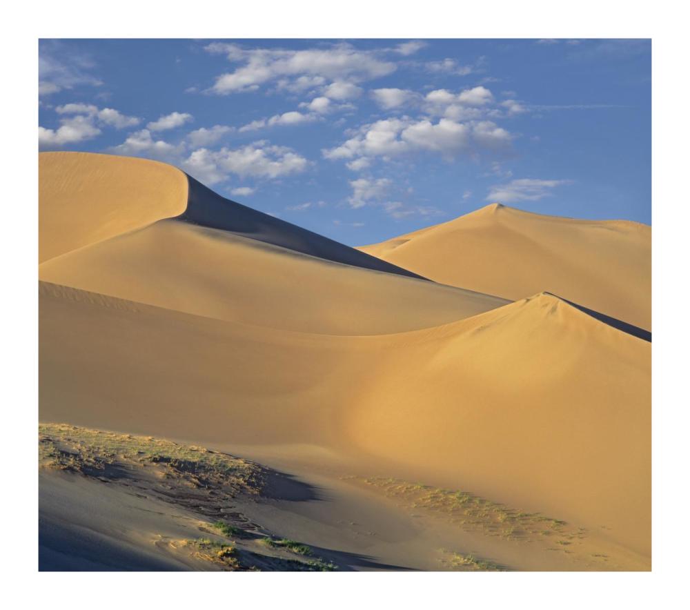 Sand dunes, Great Sand Dunes National Monument, Colorado-Paper Art-18"x15.92"