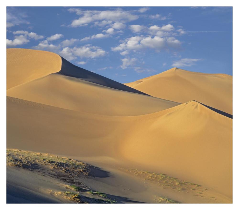 Sand dunes, Great Sand Dunes National Monument, Colorado-Paper Art-38"x33.32"