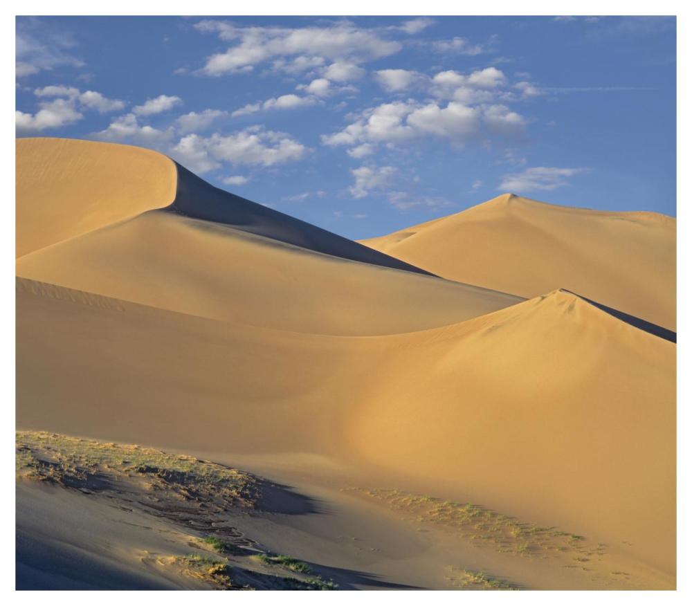 Sand dunes, Great Sand Dunes National Monument, Colorado-Paper Art-46"x40.28"