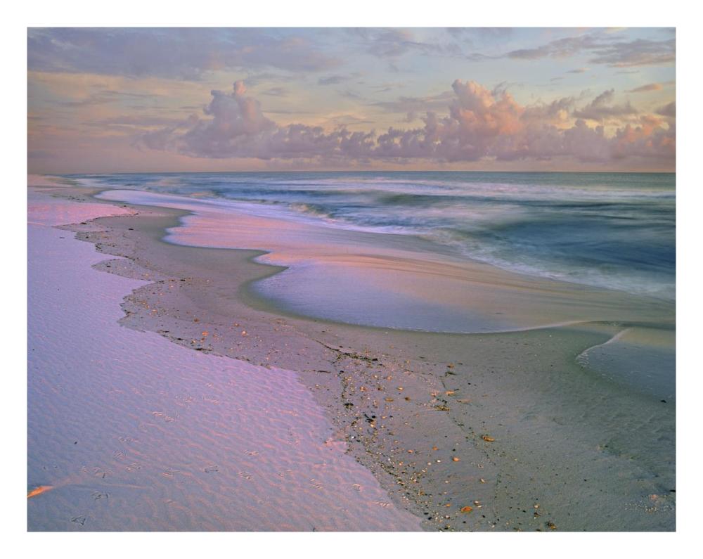 Beach at sunrise, Gulf Islands National Seashore, Florida-Paper Art-26"x20"