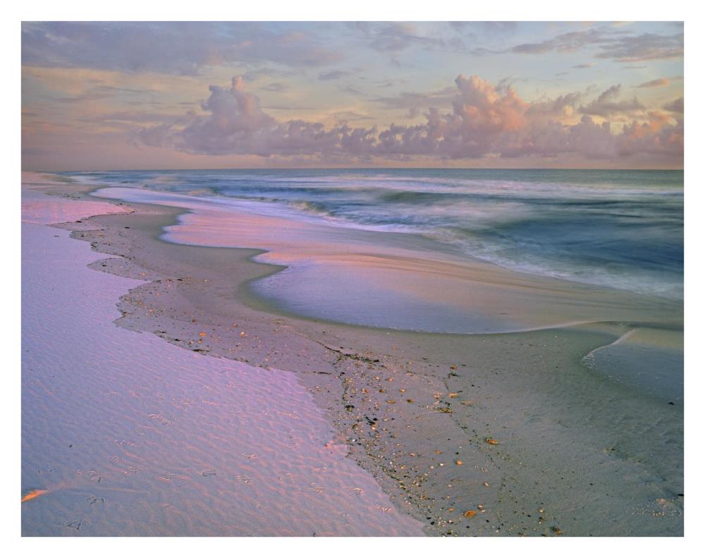 Beach at sunrise, Gulf Islands National Seashore, Florida-Paper Art-34"x26"