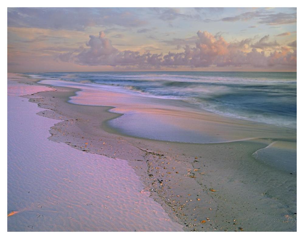 Beach at sunrise, Gulf Islands National Seashore, Florida-Paper Art-42"x32"