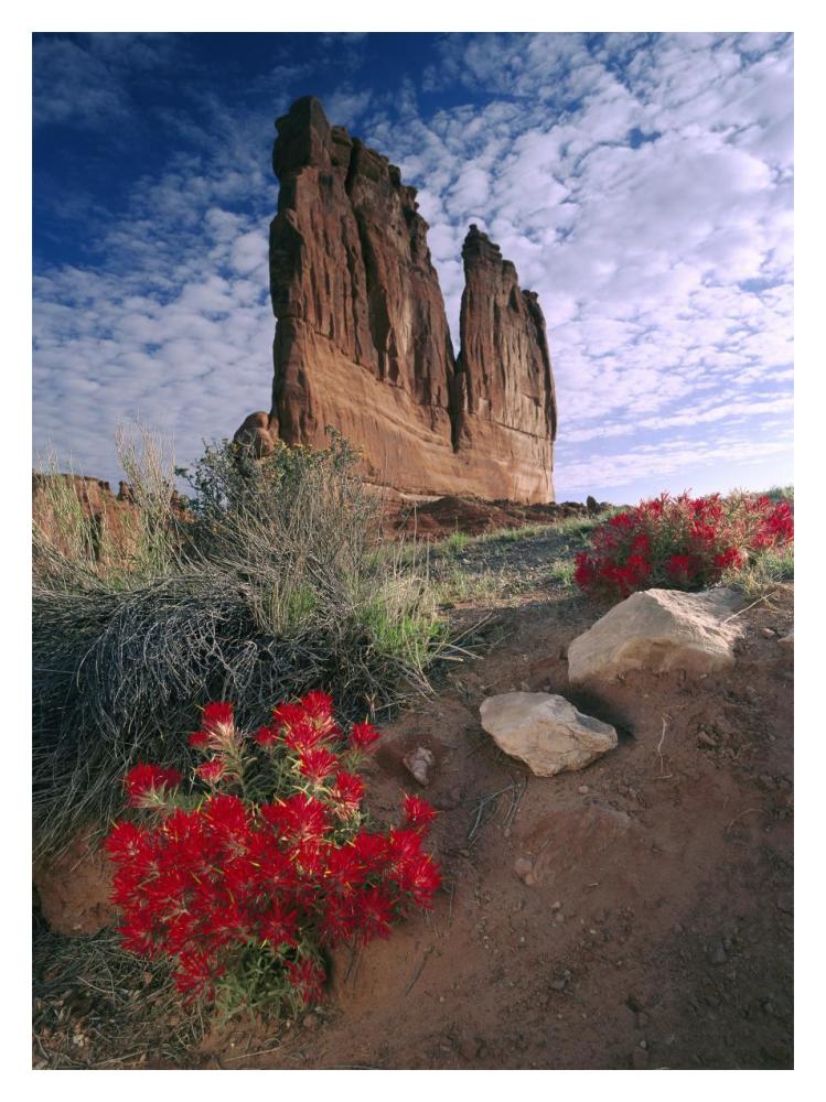 Paintbrush and the Organ Rock, Arches National Park, Utah-Paper Art-14"x18"