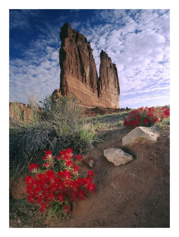 Paintbrush and the Organ Rock, Arches National Park, Utah-Paper Art-20"x26"
