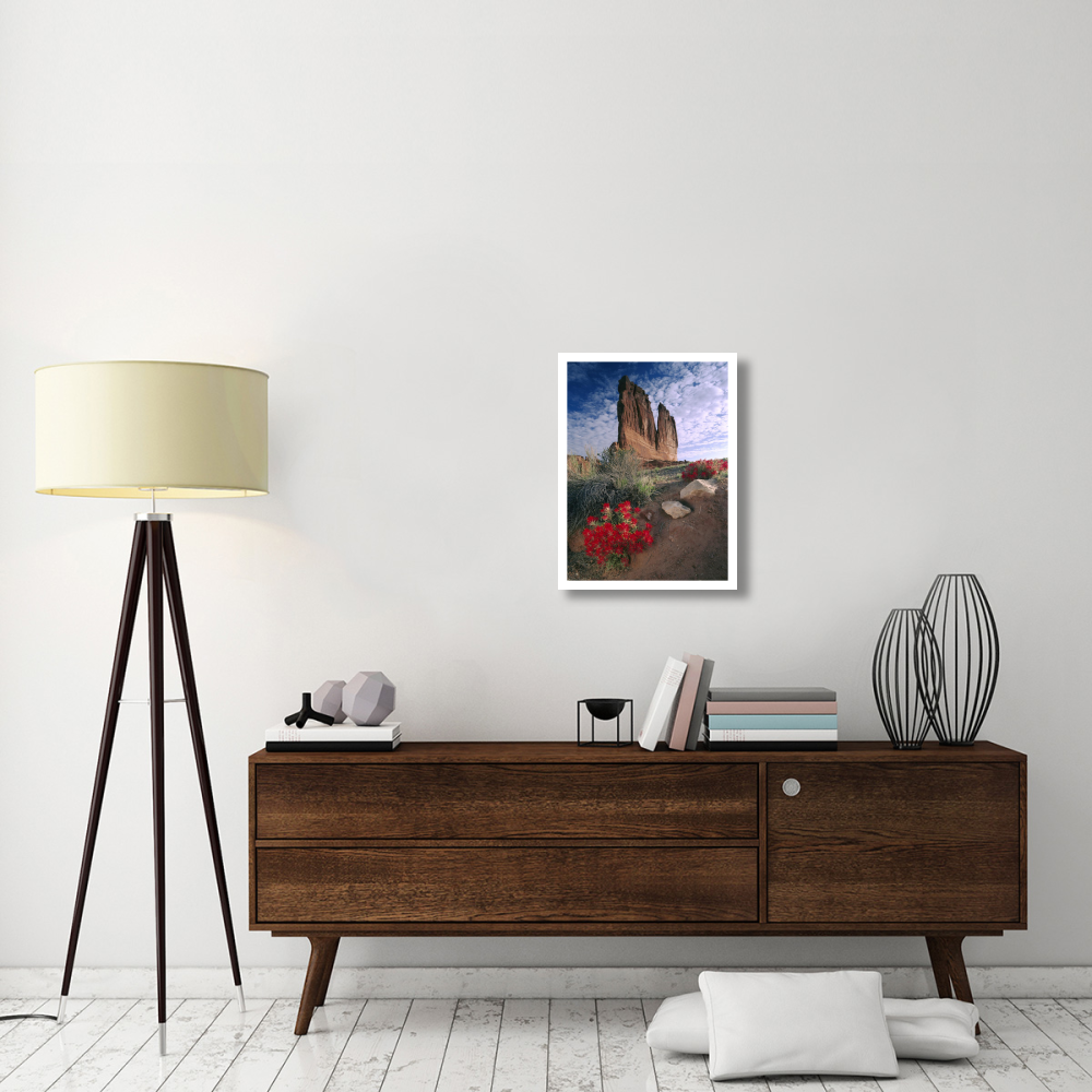 Paintbrush and the Organ Rock, Arches National Park, Utah-Paper Art-20&quotx26"