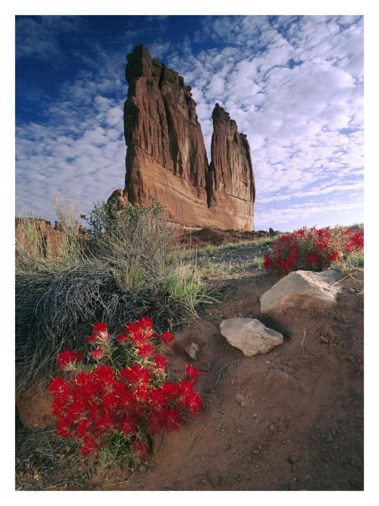 Paintbrush and the Organ Rock, Arches National Park, Utah-Paper Art-26"x34"