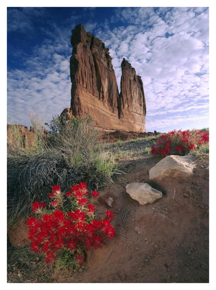 Paintbrush and the Organ Rock, Arches National Park, Utah-Paper Art-32"x42"