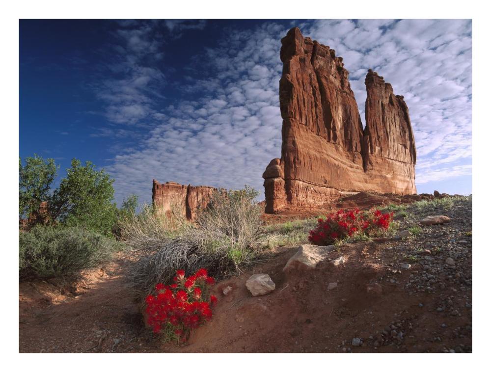 Paintbrush and the Organ Rock, Arches National Park, Utah-Paper Art-26"x20"