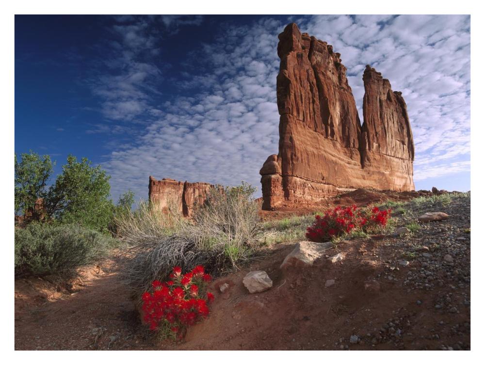 Paintbrush and the Organ Rock, Arches National Park, Utah-Paper Art-34"x26"