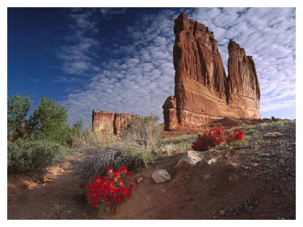 Paintbrush and the Organ Rock, Arches National Park, Utah-Paper Art-42"x32"