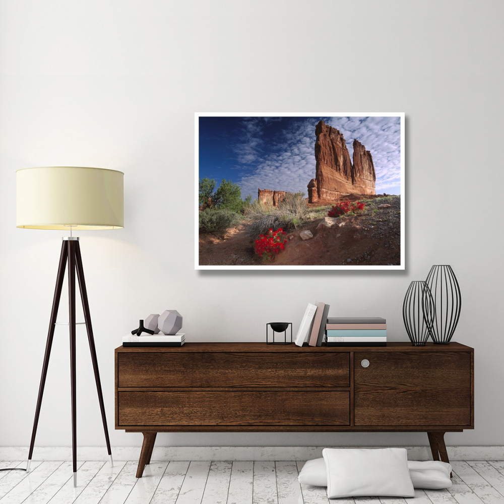 Paintbrush and the Organ Rock, Arches National Park, Utah-Paper Art-50&quotx38"