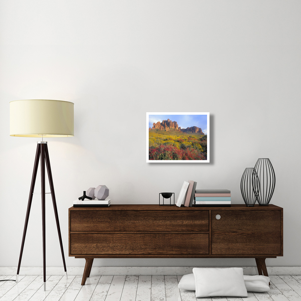 Chuparosa and Brittlebush Superstition Mountains, Arizona-Paper Art-26&quotx20"